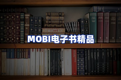 外文电子书产品